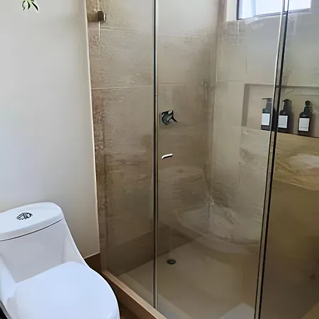 New Gem, 2b, 4 Blocks From Center Amazing Views