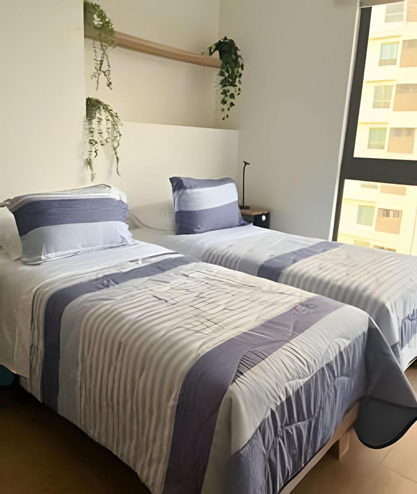 New Gem, 2b, 4 Blocks From Center Amazing Views